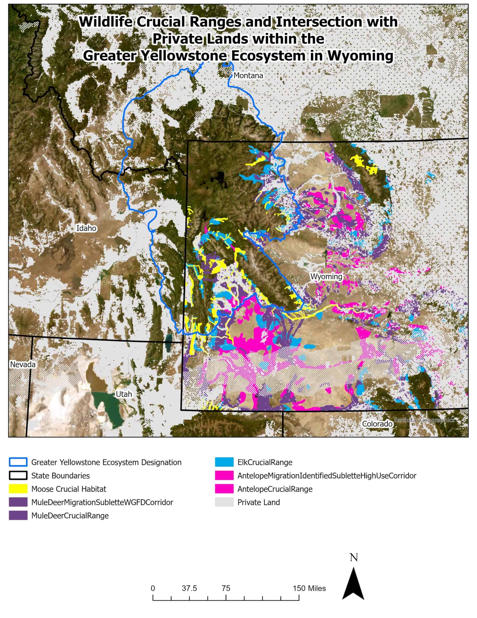 Figure 2: Probable vole nest exposed after snowmelt. Wyoming Mountains in the background.